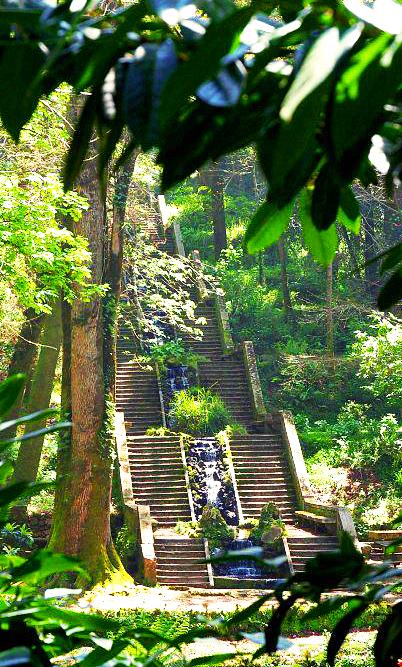 Mata Nacional do Buçaco