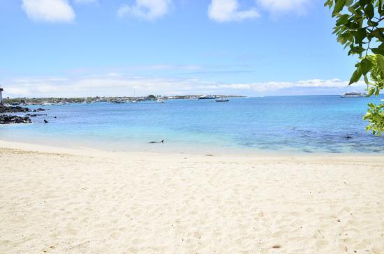 Playa de Mann