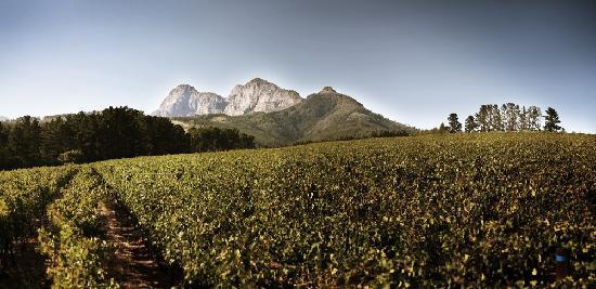 Caves de Backsberg