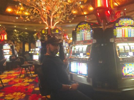 Casino de Black Oak