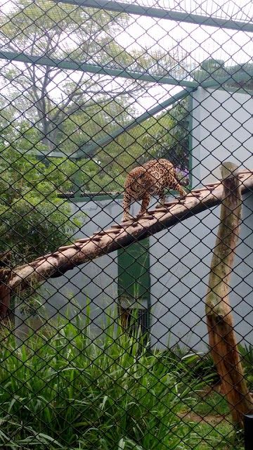 Zoológico Municipal de Guarulhos