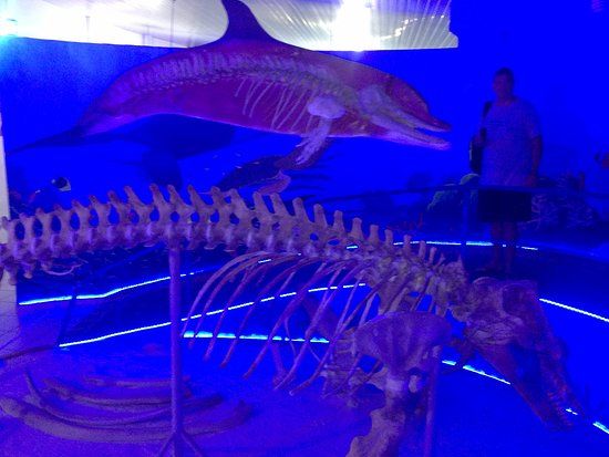 Museu Oceanográfico Almirante Paulo Moreira