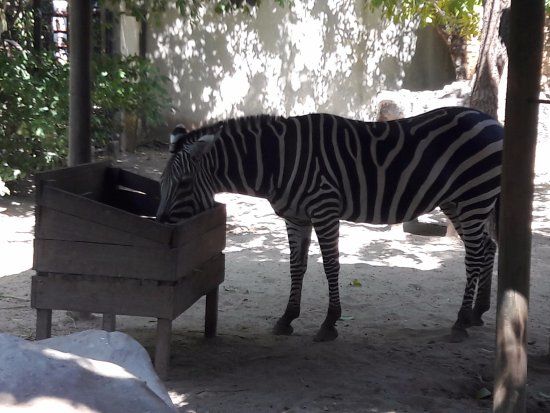 Jardim Zoológico de Barranquilla