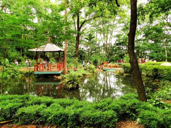 Jardim Japonês