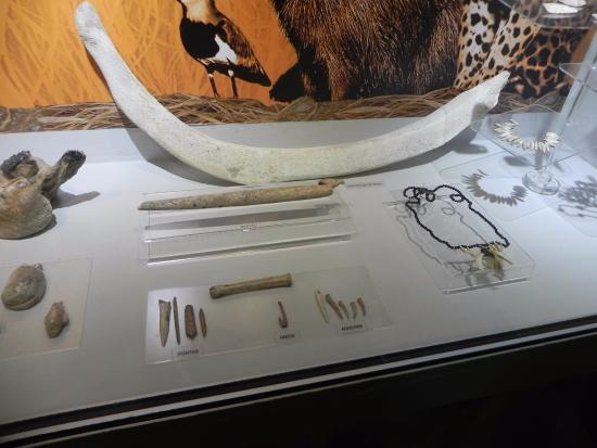 Museu Arqueológico de Sambaqui