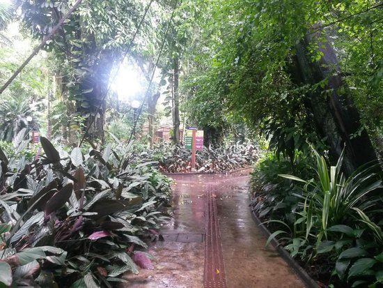 Orquidário Municipal