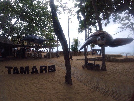 Santuário das Tartarugas