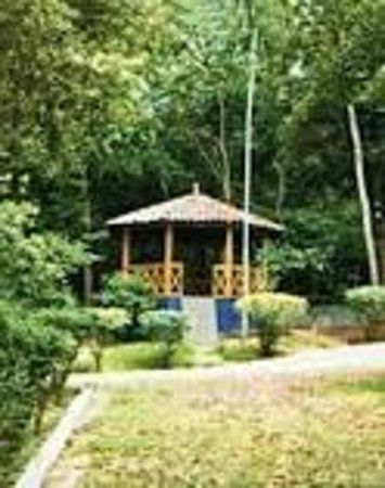 Parque da Cidade