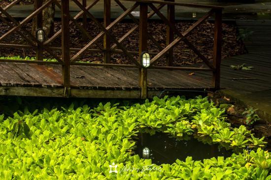 Museu de Arqueologia e Etnografia