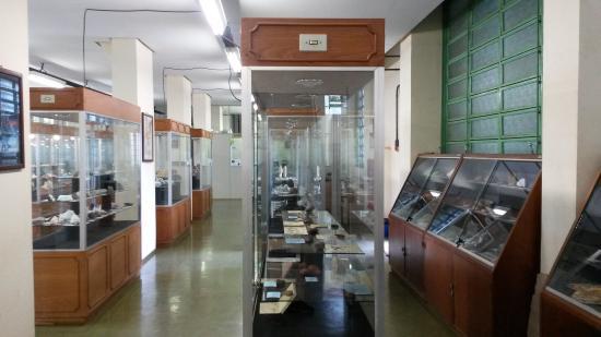 Museu Minerais e Rochas