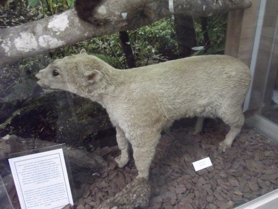 Centro de Educação Ambiental Gralha Azul