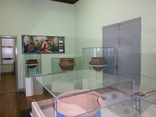 Museu Antônio Selistre de Campos
