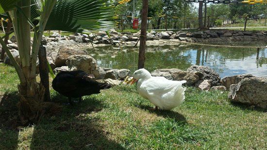 Parque Ecológico Professor João Vasconcelos Sobrinho