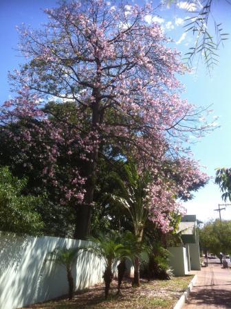 Municipal Zoo Dr. Flávio Leite Ribeiro