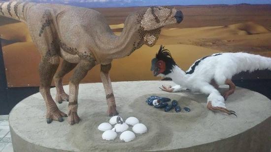 Museu Jóias da Natureza