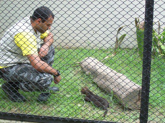 Zoológico Municipal