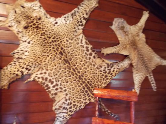 Museu da Colonização