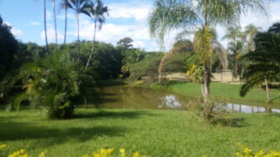 Jardim Botânico Municipal de Paulínia Adelmo Piva Junior