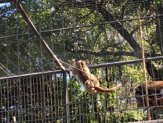 Zoológico Municipal