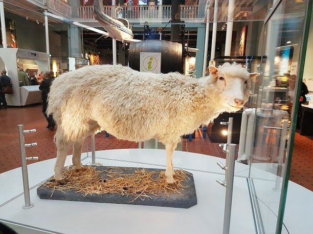 Museu Nacional da Escócia