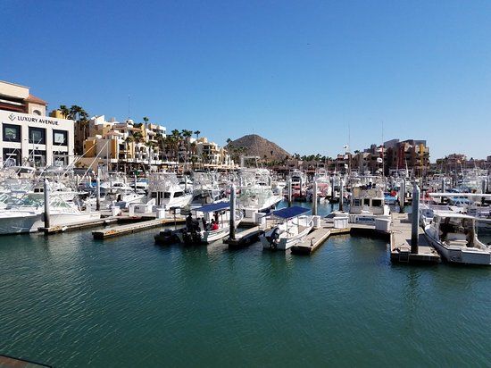 Marina de Cabo San Lucas
