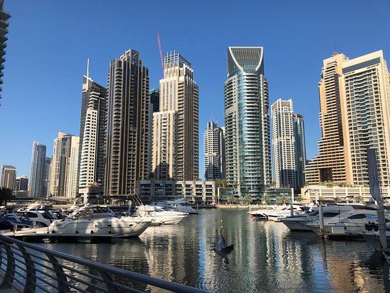 Marina de Dubai
