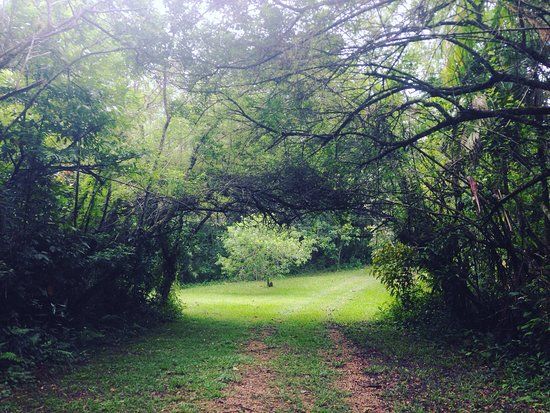 Parque Estadual da Campina do Encantado