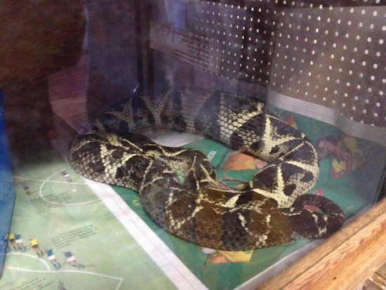 Museu de Zoologia João Moojen