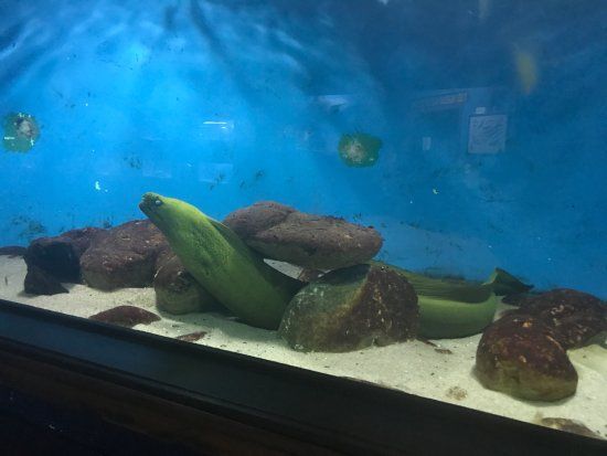 Aquário de Aparecida