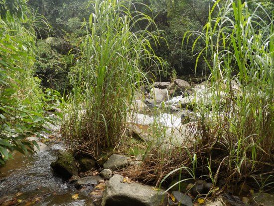 Poço das Samambaias