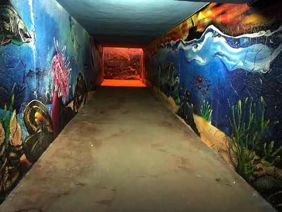 Praia de Paço de Arcos