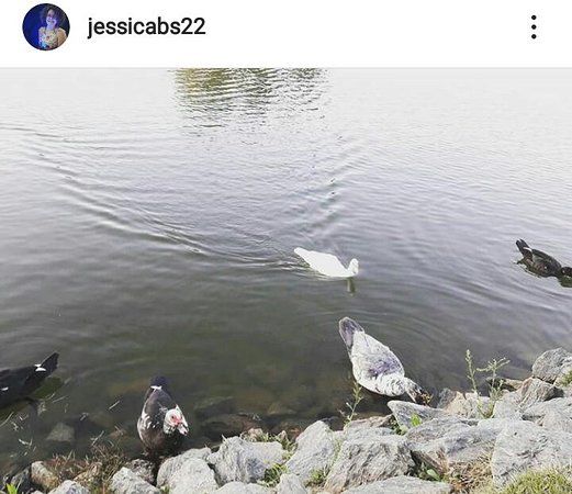 Lago Municipal de Ipameri