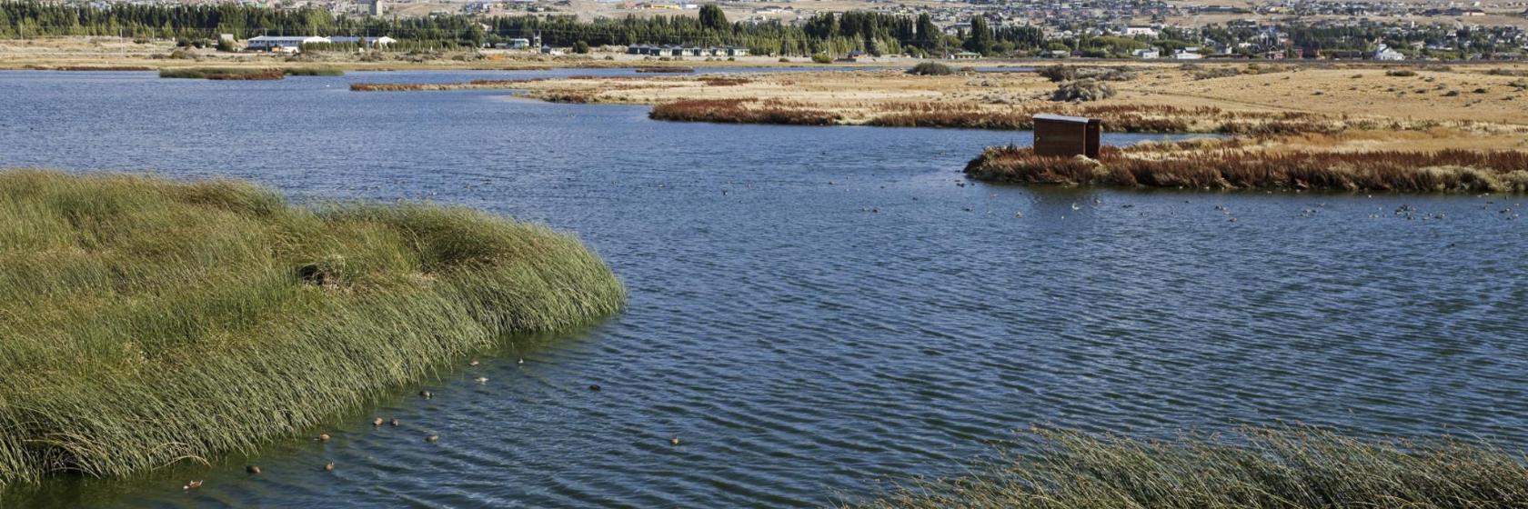 Lago Argentino