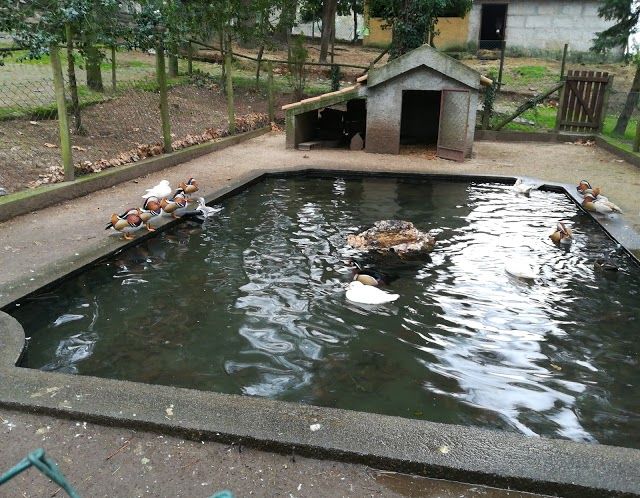 Parque Ecológico De Gouveia