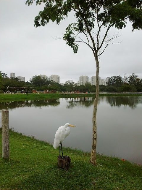 Parque Centenário
