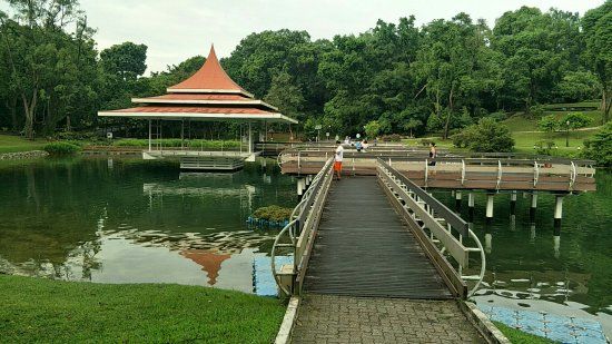 Parque Lacustre MacRitchie
