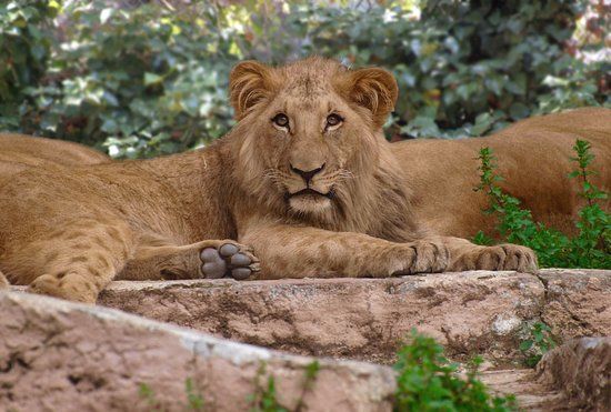 Jardim Zoológico de Barcelona