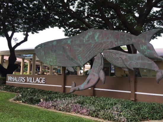 Museu da Aldeia dos Baleeiros