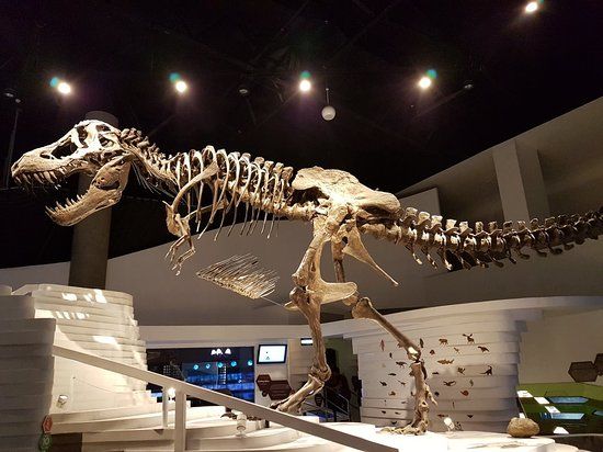 Museu da Mente em Taguig