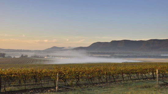 Jardins Hunter Valley