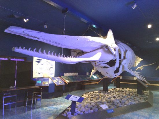 Museu de História Natural do Omã