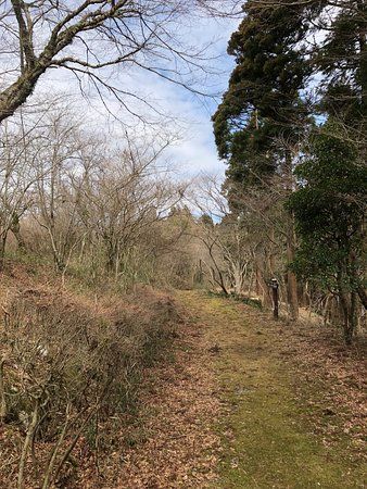 Hakone Yasuragi no Mori