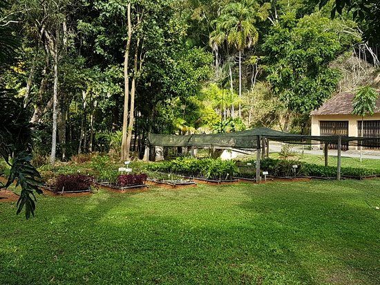 Horto Central Florestal Santos Lima