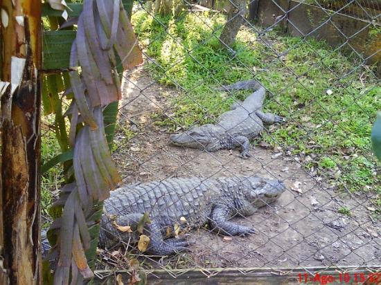 Criadouro Conservacionista São Braz