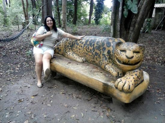Parque Ecológico Bosque dos Sonhos