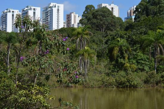 Parque Ecológico de Águas Claras