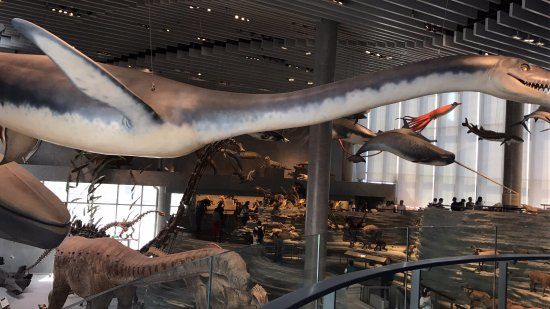 Museu de História Natural de Xangai