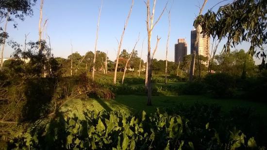 Parque Marechal Mascarenhas de Moraes