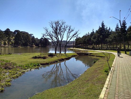 Lago das Araucárias