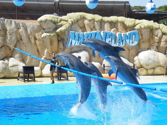 Marineland Maiorca